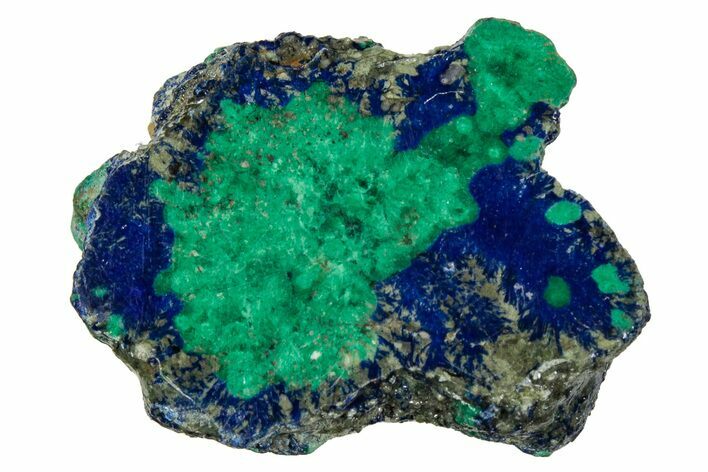 Vivid Green, Cut/Polished Malachite & Azurite Nodule - Siberia #335258